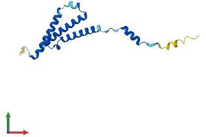 Protein Structure (PS) image for C1D Nuclear Receptor Corepressor (C1D) (AA 1-141) protein (His tag) (ABIN7552821)