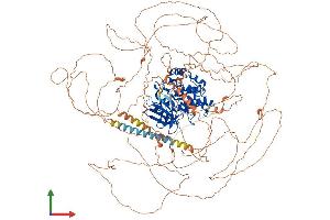 Protein Structure (PS) image for tau Tubulin Kinase 1 (Ttbk1) (AA 1-1321) protein (His tag) (ABIN7555909)