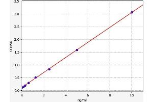 Typical standard curve (ATF3 ELISA 试剂盒)