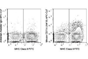 C57Bl/6 splenocytes were stained with FITC Anti-Mouse MHC Class II (ABIN6961295) and 0. (CD11c 抗体  (APC-Cy7))