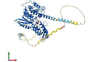 Protein Structure (PS) image for PX domain-containing protein kinase-like protein (PXK) (AA 1-578) protein (His tag) (ABIN7551149)