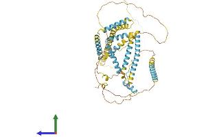 Protein Structure (PS) image for Family with Sequence Similarity 134, Member B (FAM134B) (AA 1-497) protein (His tag) (ABIN7553902)
