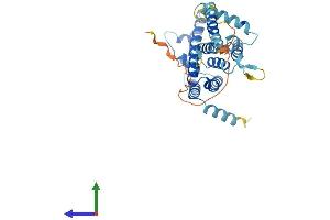 Protein Structure (PS) image for Transmembrane Protein 115 (TMEM115) (AA 1-351) protein (His tag) (ABIN7544512)