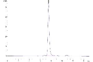 Size-exclusion chromatography-High Pressure Liquid Chromatography (SEC-HPLC) image for Growth Differentiation Factor 15 (GDF15) (AA 189-303) protein (Fc Tag) (ABIN7274729)