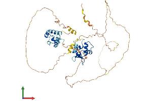 Protein Structure (PS) image for ERG, ETS transcription factor (ERG) (AA 1-486) protein (His tag) (ABIN7556748)