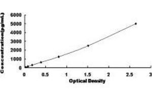 Chemokine (C-C Motif) Ligand 3-Like 1 (CCL3L1) ELISA Kit