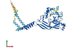 AlphaFold protein structure predicition of Mouse Recombinant Asic5 Protein, UniprotID Q9R0Y1
