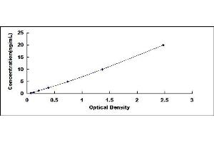 Typical standard curve (SQSTM1 ELISA 试剂盒)