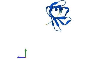 Protein Structure (PS) image for Small Nuclear Ribonucleoprotein Polypeptide E (SNRPE) (AA 1-92) protein (His tag) (ABIN7545916)
