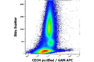 Flow cytometry surface staining pattern of human peripheral whole blood stained using anti-human CD34 (QBEnd-10) purified antibody (concentration in sample 0,6 μg/mL, GAM APC). (CD34 抗体)