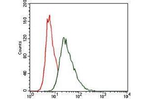 Flow cytometric analysis of HeLa cells using HSF4 mouse mAb (green) and negative control (red). (HSF4 抗体)