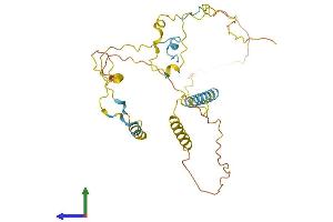 Protein Structure (PS) image for KIAA1191 (KIAA1191) (AA 1-303) protein (His tag) (ABIN7561290)
