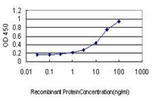 Detection limit for recombinant GST tagged ATF3 is approximately 1ng/ml as a capture antibody. (ATF3 抗体  (AA 1-181))
