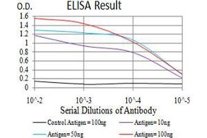 Black line: Control Antigen (100 ng);Purple line: Antigen (10ng); Blue line: Antigen (50 ng); Red line:Antigen (100 ng) (SOD2 抗体  (AA 1-222))