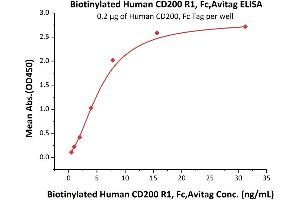 Immobilized Human CD200, Fc Tag (ABIN2180725,ABIN2180724) at 2 μg/mL (100 μL/well) can bind Biotinylated Human CD200 R1, Fc,Avitag (ABIN5674587,ABIN6253680) with a linear range of 0. (CD200R1 Protein (AA 27-266) (Fc Tag,AVI tag,Biotin))