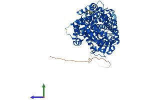 Protein Structure (PS) image for Endothelin-Converting Enzyme 1 (ECE1) (AA 1-769) protein (His tag) (ABIN7557394)