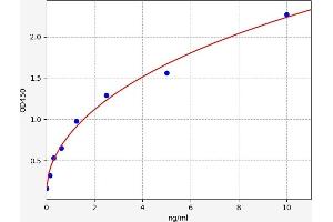 phosphoenolpyruvate Carboxykinase 2 (Mitochondrial) (PEPCK) ELISA Kit