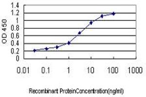 Detection limit for recombinant GST tagged PLCL2 is approximately 0. (PLCL2 抗体  (AA 121-210))