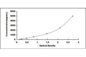 Typical standard curve (BST1 ELISA 试剂盒)