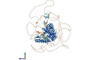 AlphaFold protein structure predicition of Mouse Recombinant Jarid2 Protein, UniprotID Q62315