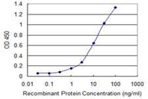 Detection limit for recombinant GST tagged PAK2 is 0. (PAK2 抗体  (AA 131-230))