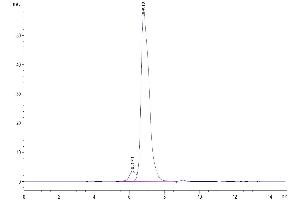 The purity of Biotinylated Human HLA-G Complex Tetramer is greater than 95 % as determined by SEC-HPLC. (HLAG Protein (AA 25-305, Tetramer) (Biotin,His-Avi Tag,Peptide (RIIPRHLQL)))