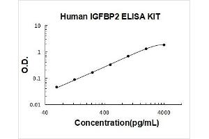 Insulin-Like Growth Factor Binding Protein 2, 36kDa (IGFBP2) ELISA Kit