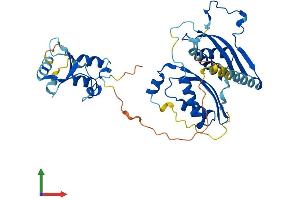 Protein Structure (PS) image for SWI/SNF Related, Matrix Associated, Actin Dependent Regulator of Chromatin, Subfamily B, Member 1 (SMARCB1) (AA 1-385) protein (His tag) (ABIN7555510)