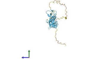 Protein Structure (PS) image for Cysteine and Glycine-Rich Protein 1 (CSRP1) (AA 1-193) protein (His tag) (ABIN7556781)