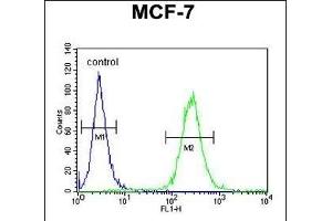 UPF2 Antibody (Center) (ABIN654649 and ABIN2844345) flow cytometric analysis of MCF-7 cells (right histogram) compared to a negative control cell (left histogram). (RENT2/UPF2 抗体  (AA 630-656))
