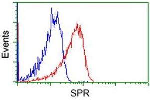 Flow cytometric Analysis of Hela cells, using anti-SPR antibody (ABIN2453680), (Red), compared to a nonspecific negative control antibody (TA50011), (Blue). (SPR 抗体)