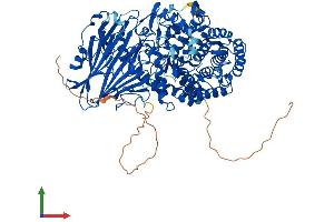 Protein Structure (PS) image for Glucosidase, beta (Bile Acid) 2 (GBA2) (AA 1-918) protein (His tag) (ABIN7564019)