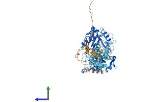 Protein Structure (PS) image for Lysophosphatidylcholine Acyltransferase 2 (LPCAT2) (AA 1-544) protein (His tag) (ABIN7564464)