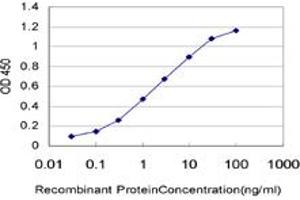 ELISA image for anti-3'-phosphoadenosine 5'-phosphosulfate Synthase 2 (PAPSS2) (AA 513-613) antibody (ABIN598592) (PAPSS2 抗体  (AA 513-613))