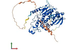 Protein Structure (PS) image for Mannosyl (Alpha-1,6-)-Glycoprotein beta-1,2-N-Acetylglucosaminyltransferase (MGAT2) (AA 1-442) protein (His tag) (ABIN7560206)