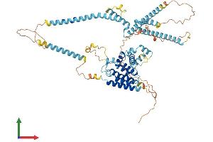 Protein Structure (PS) image for RUN Domain Containing 1 (RUNDC1) (AA 1-613) protein (His tag) (ABIN7551635)