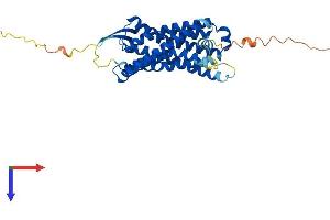 C5AR1 Protein (AA 1-350) (His tag)