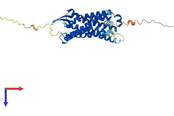 C5AR1 Protein (AA 1-350) (His tag)