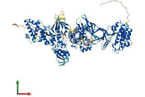 AlphaFold protein structure predicition of Human Recombinant JAK3 Protein, UniprotID P52333