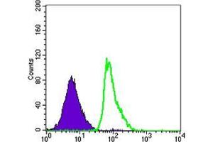 Flow Cytometry (FACS) image for anti-Fc Fragment of IgE, Low Affinity II, Receptor For (CD23) (FCER2) antibody (ABIN969132)