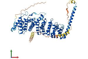 Protein Structure (PS) image for Protein Phosphatase 2, Regulatory Subunit B', gamma (PPP2R5C) (AA 1-524) protein (His tag) (ABIN7557646)