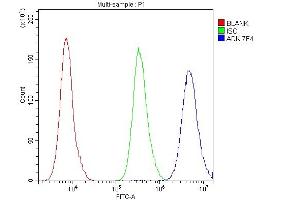 Flow Cytometry analysis of PC-3 cells using anti- ADK antibody (ABIN7600222). (ADK 抗体  (AA 165-351))