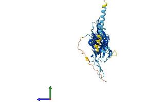 Protein Structure (PS) image for Potassium Inwardly-Rectifying Channel, Subfamily J, Member 15 (KCNJ15) (AA 1-375) protein (His tag) (ABIN7548809)