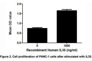 Image no. 1 for Interleukin 35 (IL35) (AA 21-229), (AA 23-219) (Active) protein (His tag) (ABIN6239772)