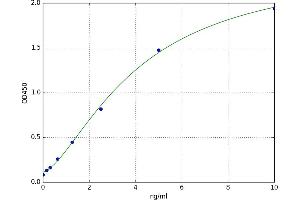 A typical standard curve (DNMT1 ELISA 试剂盒)