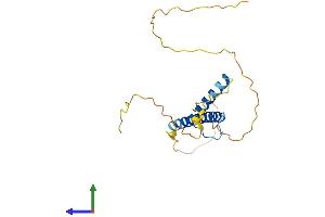 AlphaFold protein structure predicition of Mouse Recombinant Msc Protein, UniprotID O88940 (Musculin Protein (MSC) (AA 1-201) (His tag))