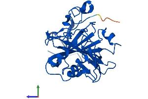 Protein Structure (PS) image for Carbonic Anhydrase VII (CA7) (AA 1-264) protein (His tag) (ABIN7561444)