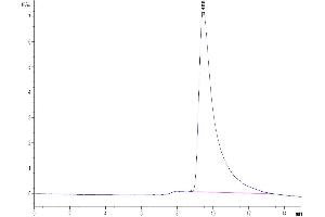 The purity of Mouse IL-2 is greater than 95 % as determined by SEC-HPLC.