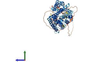 Protein Structure (PS) image for Solute Carrier Family 38 Member 4 (SLC38A4) (AA 1-547) protein (His tag) (ABIN7555405)