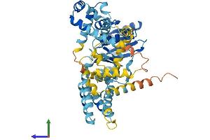 Protein Structure (PS) image for Signal Recognition Particle 54kDa (SRP54) (AA 1-504) protein (His tag) (ABIN7546356)